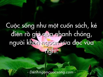 Cuộc sống như một cuốn sách, kẻ điên rồ giở qua nhanh chóng, người khôn ngoan vừa đọc vừa nghĩ.