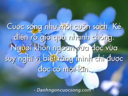 Cuộc sống như một cuốn sách. Kẻ điên rồ giở qua nhanh chóng. Người khôn ngoan vừa đọc vừa suy nghĩ vì biết rằng mình chỉ được đọc có một lần.