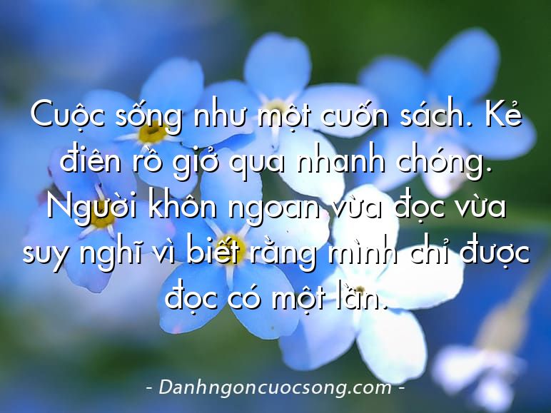 Cuộc sống như một cuốn sách. Kẻ điên rồ giở qua nhanh chóng. Người khôn ngoan vừa đọc vừa suy nghĩ vì biết rằng mình chỉ được đọc có một lần.