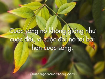 Cuộc sống nó không giống như cuộc đời, vì cuộc đời nó tơi bời hơn cuộc sống.