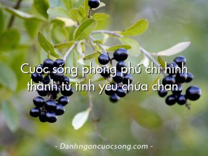 Cuộc sống phong phú chỉ hình thành từ tình yêu chứa chan.