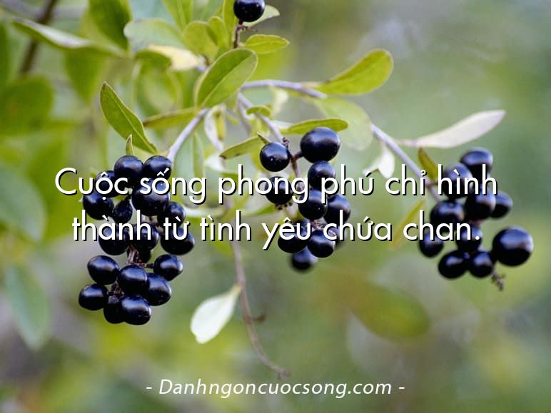 Cuộc sống phong phú chỉ hình thành từ tình yêu chứa chan.