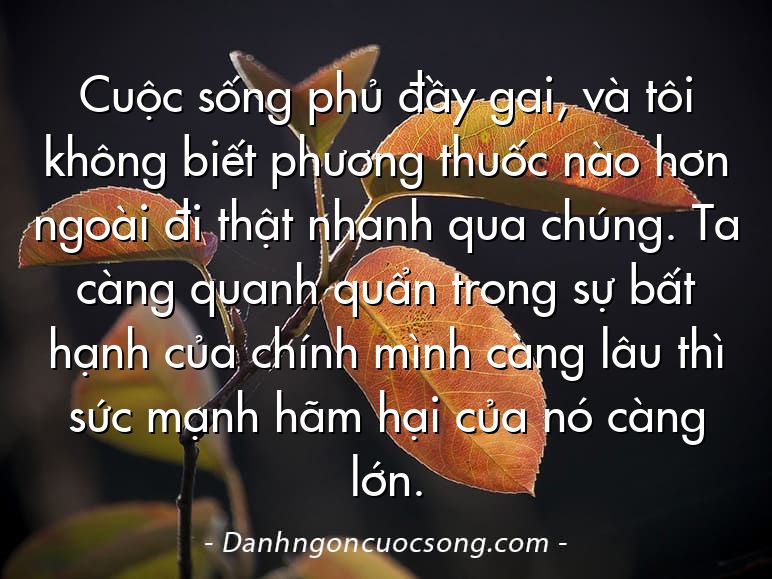 Cuộc sống phủ đầy gai, và tôi không biết phương thuốc nào hơn ngoài đi thật nhanh qua chúng. Ta càng quanh quẩn trong sự bất hạnh của chính mình càng lâu thì sức mạnh hãm hại của nó càng lớn.