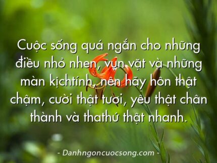 Cuộc sống quá ngắn cho những điều nhỏ nhen, vụn vặt và những màn kịchtính, nên hãy hôn thật chậm, cười thật tươi, yêu thật chân thành và thathứ thật nhanh.