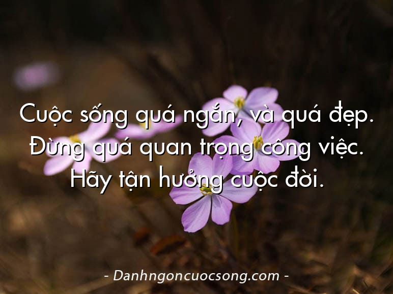Cuộc sống quá ngắn, và quá đẹp. Đừng quá quan trọng công việc. Hãy tận hưởng cuộc đời.