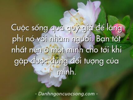 Cuộc sống quá quý giá để lãng phí nó với nhầm người. Bạn tốt nhất nên ở một mình cho tới khi gặp được đúng đối tượng của mình.