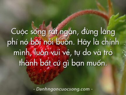 Cuộc sống rất ngắn, đừng lãng phí nó bởi nỗi buồn. Hãy là chính mình, luôn vui vẻ, tự do và trở thành bất cứ gì bạn muốn.