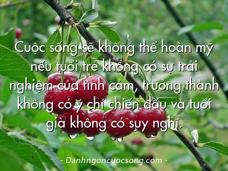 Cuộc sống sẽ không thể hoàn mỹ nếu tuổi trẻ không có sự trải nghiệm của tình cảm, trưởng thành không có ý chí chiến đấu và tuổi già không có suy nghĩ.