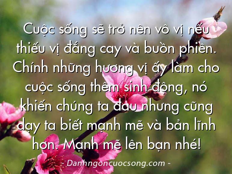 Cuộc sống sẽ trở nên vô vị nếu thiếu vị đắng cay và buồn phiền. Chính những hương vị ấy làm cho cuộc sống thêm sinh động, nó khiến chúng ta đau nhưng cũng dạy ta biết mạnh mẽ và bản lĩnh hơn. Mạnh mẽ lên bạn nhé!