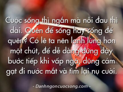 Cuộc sống thì ngắn mà nỗi đau thì dài. Quên để sống hay sống để quên? Có lẽ ta nên lạnh lùng hơn một chút, để dễ dàng đứng dậy bước tiếp khi vấp ngã, dũng cảm gạt đi nước mắt và tìm lại nụ cười.