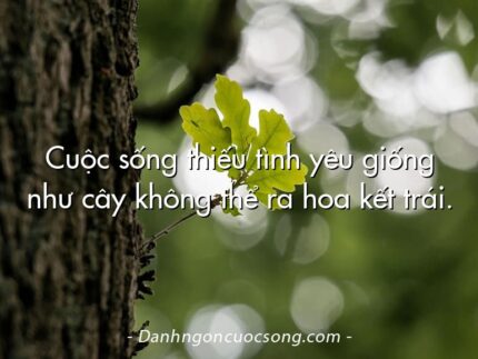 Cuộc sống thiếu tình yêu giống như cây không thể ra hoa kết trái.