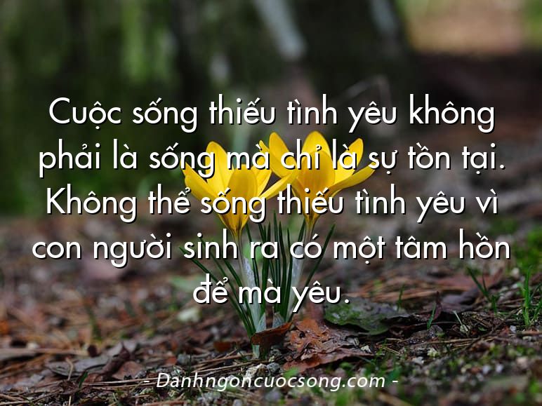 Cuộc sống thiếu tình yêu không phải là sống mà chỉ là sự tồn tại. Không thể sống thiếu tình yêu vì con người sinh ra có một tâm hồn để mà yêu.