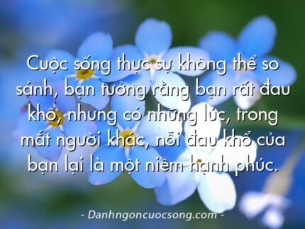 Cuộc sống thực sự không thể so sánh, bạn tưởng rằng bạn rất đau khổ, nhưng có những lúc, trong mắt người khác, nỗi đau khổ của bạn lại là một niềm hạnh phúc.
