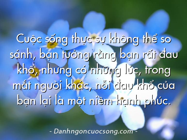Cuộc sống thực sự không thể so sánh, bạn tưởng rằng bạn rất đau khổ, nhưng có những lúc, trong mắt người khác, nỗi đau khổ của bạn lại là một niềm hạnh phúc.