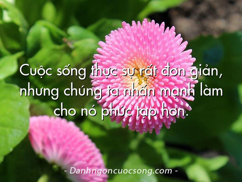 Cuộc sống thực sự rất đơn giản, nhưng chúng ta nhấn mạnh làm cho nó phức tạp hơn.