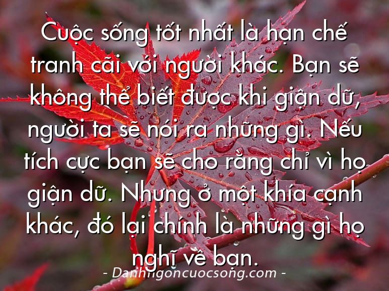 Cuộc sống tốt nhất là hạn chế tranh cãi với người khác. Bạn sẽ không thể biết được khi giận dữ, người ta sẽ nói ra những gì. Nếu tích cực bạn sẽ cho rằng chỉ vì họ giận dữ. Nhưng ở một khía cạnh khác, đó lại chính là những gì họ nghĩ về bạn.