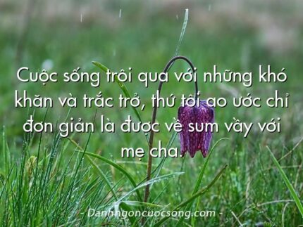 Cuộc sống trôi qua với những khó khăn và trắc trở, thứ tôi ao ước chỉ đơn giản là được về sum vầy với mẹ cha.