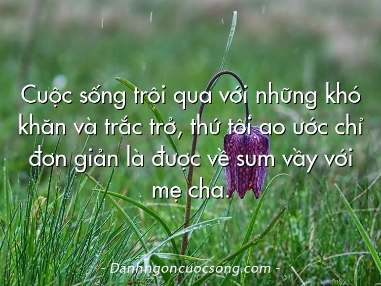 Cuộc sống trôi qua với những khó khăn và trắc trở, thứ tôi ao ước chỉ đơn giản là được về sum vầy với mẹ cha.