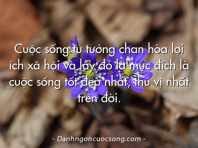Cuộc sống tư tưởng chan hòa lợi ích xã hội và lấy đó là mục đích là cuộc sống tốt đẹp nhất, thú vị nhất trên đời.  