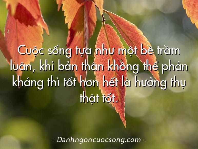 Cuộc sống tựa như một bề trầm luân, khi bản thân không thể phản kháng thì tốt hơn hết là hưởng thụ thật tốt.