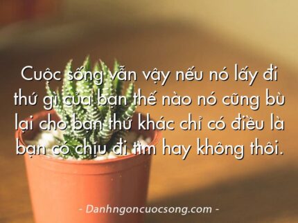 Cuộc sống vẫn vậy nếu nó lấy đi thứ gì của bạn thế nào nó cũng bù lại cho bạn thứ khác chỉ có điều là bạn có chịu đi tìm hay không thôi.