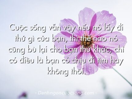 Cuộc sống vẫn vậy nếu nó lấy đi thứ gì của bạn, thì thế nào nó cũng bù lại cho bạn thứ khác, chỉ có điều là bạn có chịu đi tìm hay không thôi.