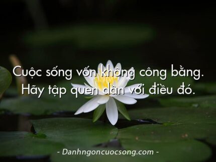 Cuộc sống vốn không công bằng. Hãy tập quen dần với điều đó.