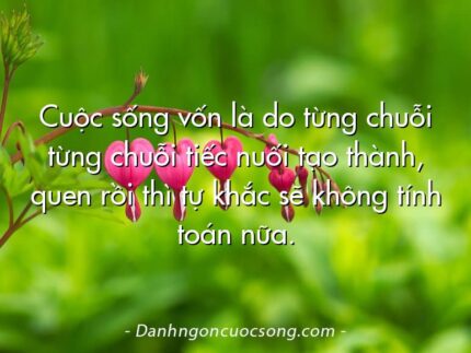 Cuộc sống vốn là do từng chuỗi từng chuỗi tiếc nuối tạo thành, quen rồi thì tự khắc sẽ không tính toán nữa.