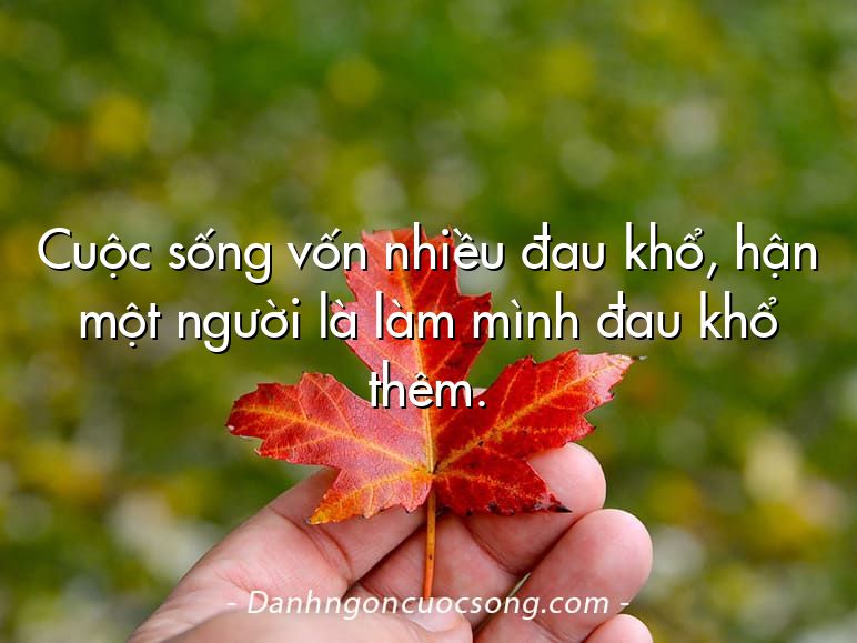 Cuộc sống vốn nhiều đau khổ, hận một người là làm mình đau khổ thêm.