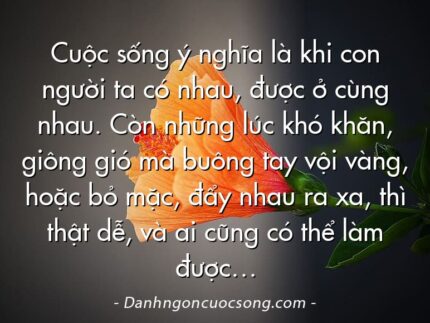 Cuộc sống ý nghĩa là khi con người ta có nhau, được ở cùng nhau. Còn những lúc khó khăn, giông gió mà buông tay vội vàng, hoặc bỏ mặc, đẩy nhau ra xa, thì thật dễ, và ai cũng có thể làm được…