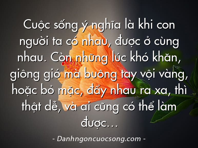 Cuộc sống ý nghĩa là khi con người ta có nhau, được ở cùng nhau. Còn những lúc khó khăn, giông gió mà buông tay vội vàng, hoặc bỏ mặc, đẩy nhau ra xa, thì thật dễ, và ai cũng có thể làm được…