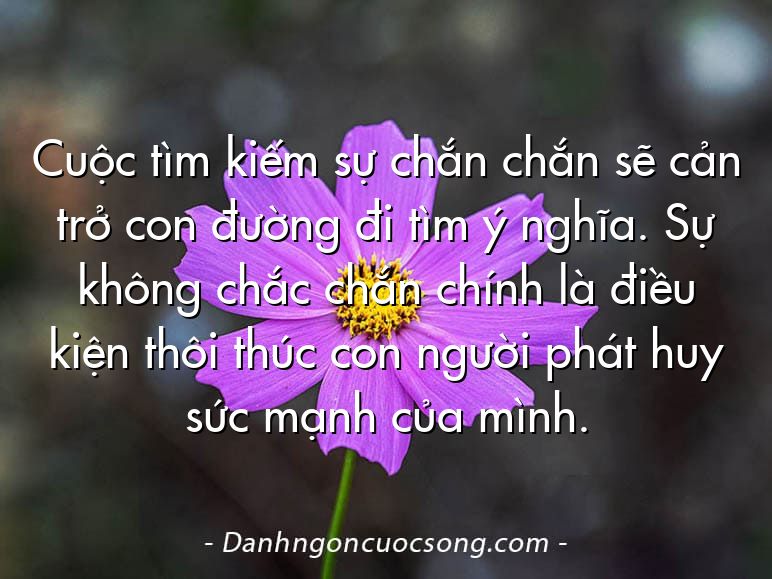 Cuộc tìm kiếm sự chắn chắn sẽ cản trở con đường đi tìm ý nghĩa. Sự không chắc chắn chính là điều kiện thôi thúc con người phát huy sức mạnh của mình.