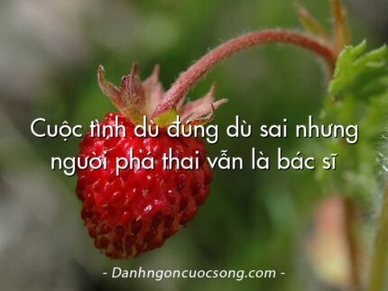 Cuộc tình dù đúng dù sai nhưng người phá thai vẫn là bác sĩ