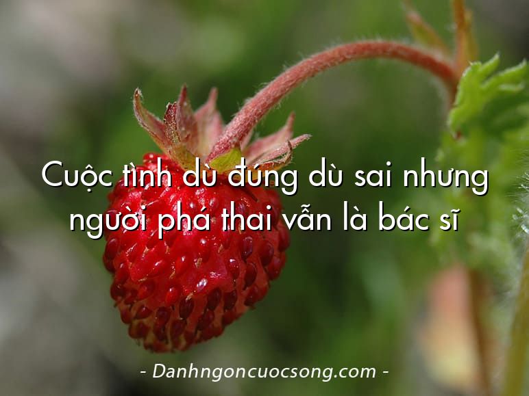 Cuộc tình dù đúng dù sai nhưng người phá thai vẫn là bác sĩ
