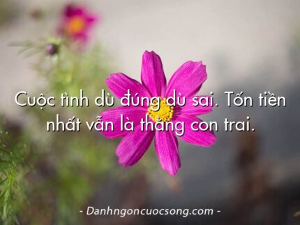 Cuộc tình dù đúng dù sai. Tốn tiền nhất vẫn là thằng con trai.