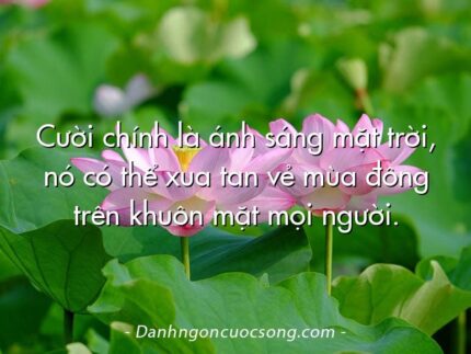 Cười chính là ánh sáng mặt trời, nó có thể xua tan vẻ mùa đông trên khuôn mặt mọi người.