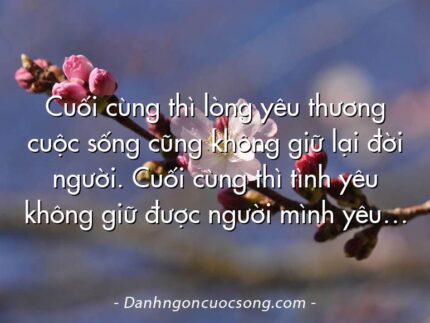 Cuối cùng thì lòng yêu thương cuộc sống cũng không giữ lại đời người. Cuối cùng thì tình yêu không giữ được người mình yêu…