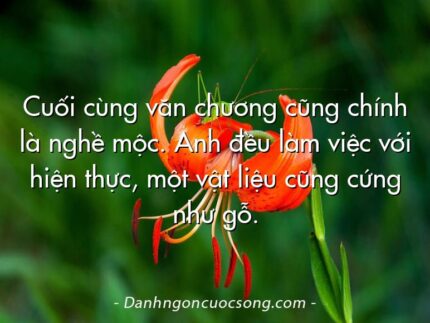 Cuối cùng văn chương cũng chính là nghề mộc. Anh đều làm việc với hiện thực, một vật liệu cũng cứng như gỗ.