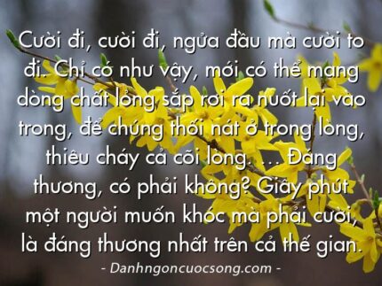 Cười đi, cười đi, ngửa đầu mà cười to đi. Chỉ có như vậy, mới có thể mang dòng chất lỏng sắp rơi ra nuốt lại vào trong, để chúng thối nát ở trong lòng, thiêu cháy cả cõi lòng. … Đáng thương, có phải không? Giây phút một người muốn khóc mà phải cười, là đáng thương nhất trên cả thế gian.