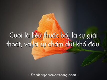 Cười là liều thuốc bổ, là sự giải thoát, và là sự chấm dứt khổ đau.