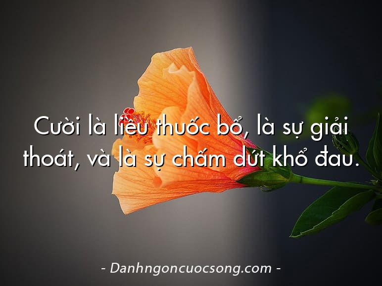 Cười là liều thuốc bổ, là sự giải thoát, và là sự chấm dứt khổ đau.