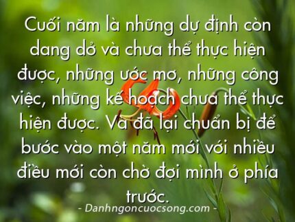 Cuối năm là những dự định còn dang dở và chưa thể thực hiện được, những ước mơ, những công việc, những kế hoạch chưa thể thực hiện được. Và đã lại chuẩn bị để bước vào một năm mới với nhiều điều mới còn chờ đợi mình ở phía trước.