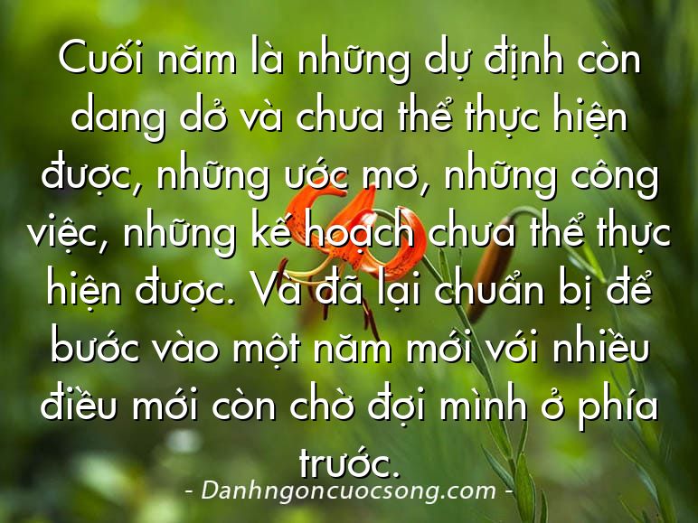 Cuối năm là những dự định còn dang dở và chưa thể thực hiện được, những ước mơ, những công việc, những kế hoạch chưa thể thực hiện được. Và đã lại chuẩn bị để bước vào một năm mới với nhiều điều mới còn chờ đợi mình ở phía trước.