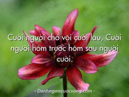 Cười người chớ vội cười lâu, Cười người hôm trước hôm sau người cười.