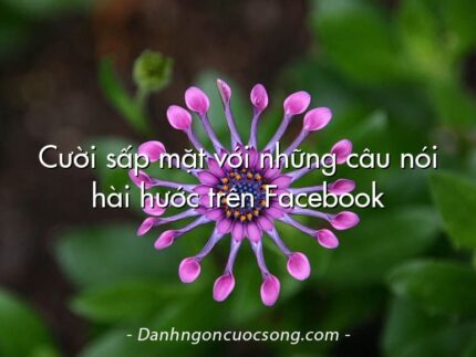 Cười sấp mặt với những câu nói hài hước trên Facebook