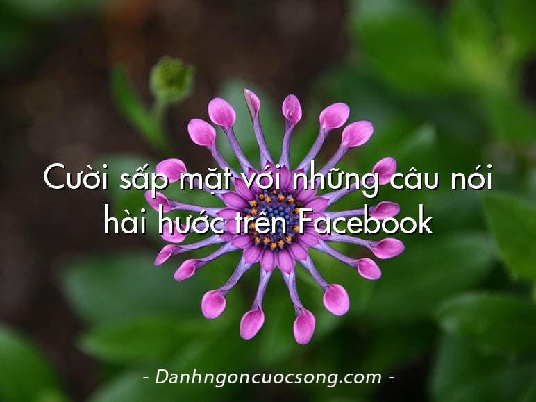 Cười sấp mặt với những câu nói hài hước trên Facebook