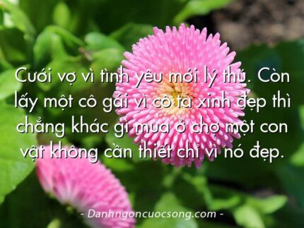 Cưới vợ vì tình yêu mới lý thú. Còn lấy một cô gái vì cô ta xinh đẹp thì chẳng khác gì mua ở chợ một con vật không cần thiết chỉ vì nó đẹp.