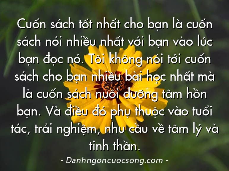 Cuốn sách tốt nhất cho bạn là cuốn sách nói nhiều nhất với bạn vào lúc bạn đọc nó. Tôi không nói tới cuốn sách cho bạn nhiều bài học nhất mà là cuốn sách nuôi dưỡng tâm hồn bạn. Và điều đó phụ thuộc vào tuổi tác, trải nghiệm, nhu cầu về tâm lý và tinh thần.