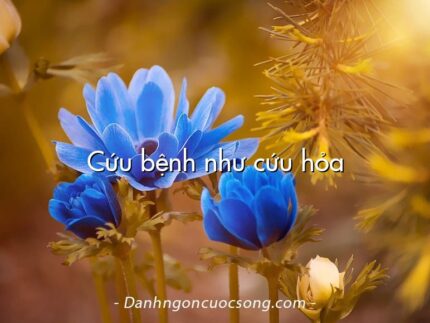 Cứu bệnh như cứu hỏa
