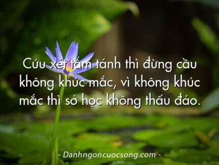 Cứu xét tâm tánh thì đừng cầu không khúc mắc, vì không khúc mắc thì sở học không thấu đáo.
